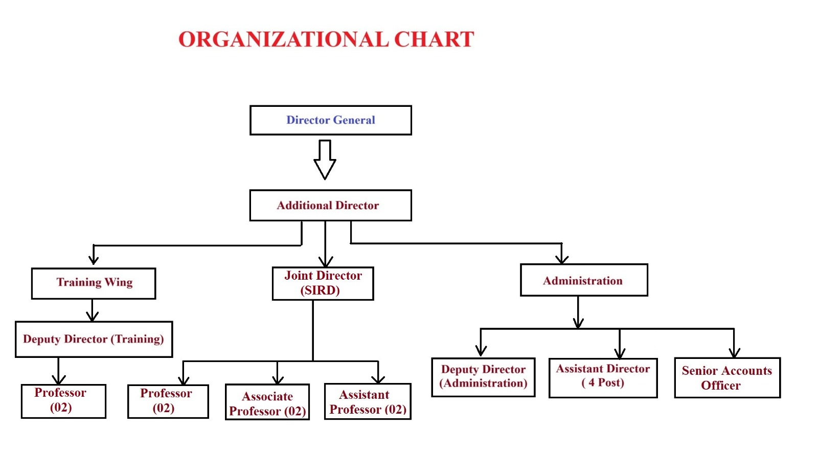 organization setup